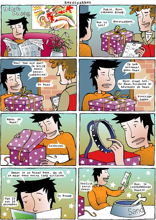 Sandra de Haan kerstpakket cartoon groot