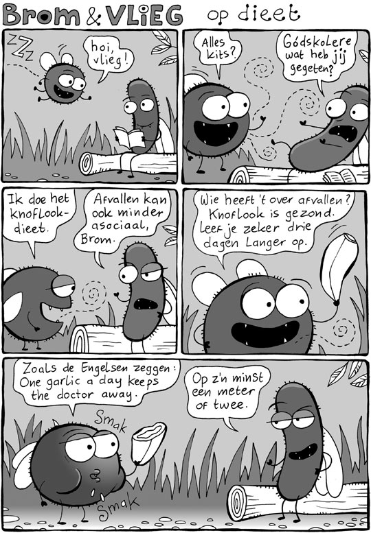Brom & Vlieg op dieet