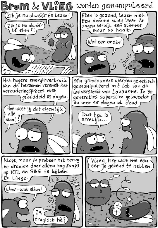 Brom & Vlieg genetisch gemanipuleerd