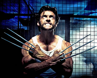 Wolverine